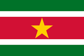 surinameflag