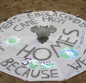 Break Free Plastic Bat Parachute and 50th Earth Day and SDGs!